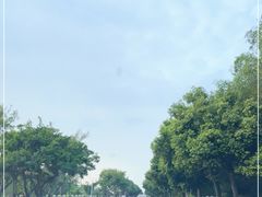 -大湾区中央湿地公园-十九涌