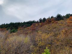 -御道口草原森林风景区