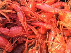 -巴厘龙虾·榜首油焖大虾(洞庭·艺术洋房店)