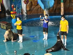 -烟台海昌鲸鲨海洋公园