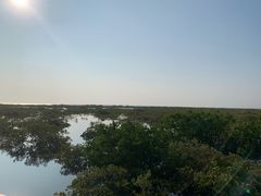 -北海金海湾红树林生态旅游区