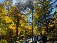 -苏木山森林公园