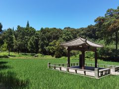 -古隆中景区