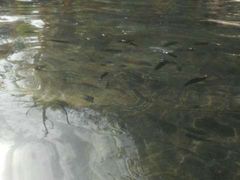 -三亚珠江南田温泉度假区