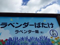 -富田农场