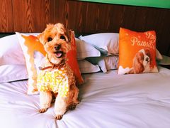 -太阳岛度假酒店