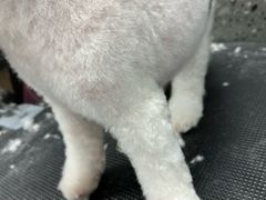-宠物家(大兴旧宫店)