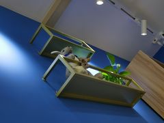 -OZ cafe(南昌路店)