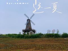 -大塘金香草谷