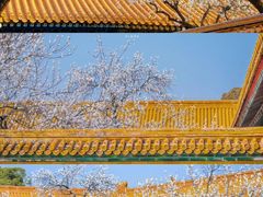 -故宫博物院(故宫)