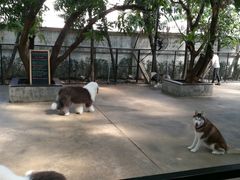 -TrueLove @ Neverland (Husky Cafe)