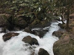 -白云源风景区