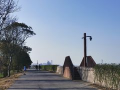 -上海滨江森林公园
