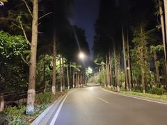 -东湖落雁景区