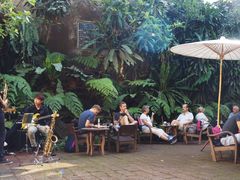 -Fern Forest Cafe