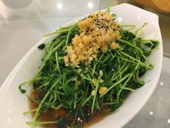 豆苗-田园小观园(武大店)