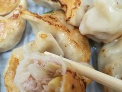 粟米鲜肉煎饺-八珍·广式煎饺·广州老字号(北京路总店)