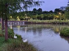 -深圳大学(丽湖校区)