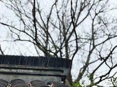 -上海佘山国家森林公园天马山园