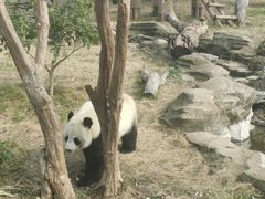-武汉动物园