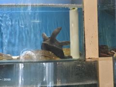 -粤秀小厨·广式早茶(辽宁路店)