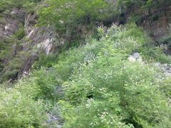 景点-十渡东湖港风景区