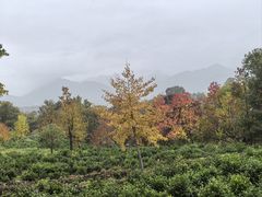 -塔川景区