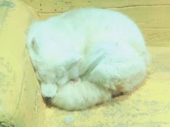 -大连圣亚海洋世界