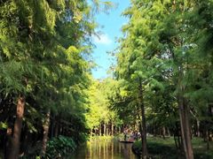 -尚湖风景区