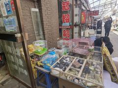 -中环花鸟鱼虫市场