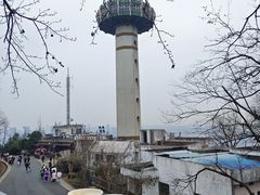 -茶颜悦色(岳麓山顶店)