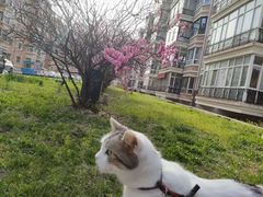 -哈尔滨师范大学(松北校区)