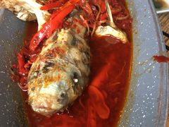 仔姜双椒烤江团-听香·678茶铺(猛追湾店)
