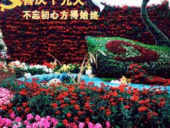 -西北湖绿化广场