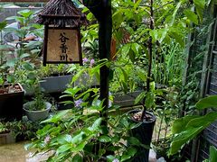 -谷咖啡·鲜花绿植花园餐厅