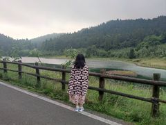 -武陵山森林公园