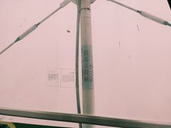 -琴岛之星摩天轮