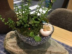 -扫雪煮茶(西村店)