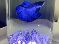 -三旗百汇商品城