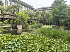 -昆明洲际酒店