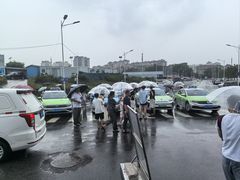 -小麦岛公园