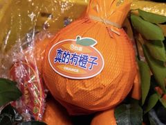 -台盖(群星城店)