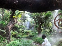 -Chom Cafe and Restaurant