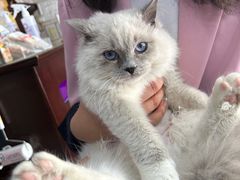 -宠爱国际维尼动物医院·疑难骨科·神经外科·肿瘤科(丰潭路店)