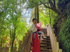 -怀托摩萤火虫洞