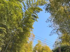 -紫金山索道-售票处