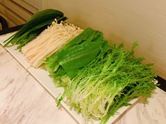 -汤城·料青山