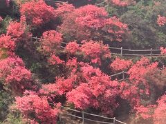 -木兰云雾山