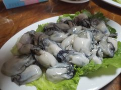 -金砂阿洲鱼册店