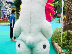 -苏州乐园森林水世界